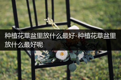 种植花草盆里放什么最好-种植花草盆里放什么最好呢