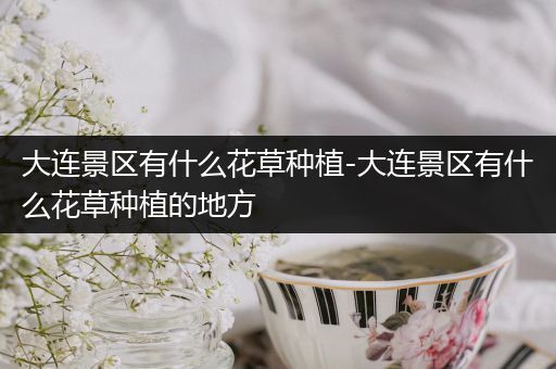 大连景区有什么花草种植-大连景区有什么花草种植的地方