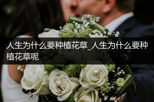 人生为什么要种植花草_人生为什么要种植花草呢