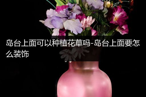 岛台上面可以种植花草吗-岛台上面要怎么装饰