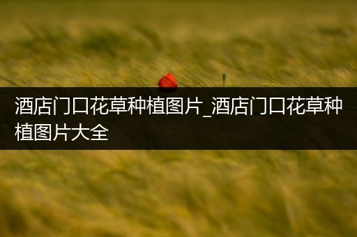 酒店门口花草种植图片_酒店门口花草种植图片大全