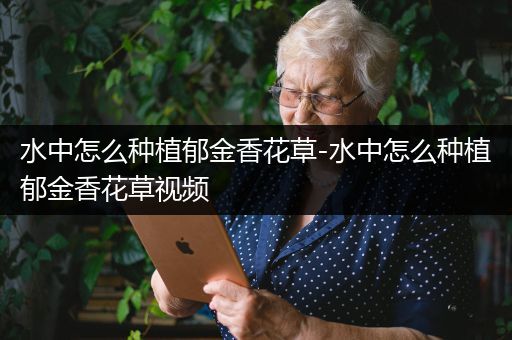 水中怎么种植郁金香花草-水中怎么种植郁金香花草视频