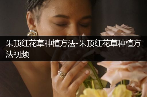 朱顶红花草种植方法-朱顶红花草种植方法视频