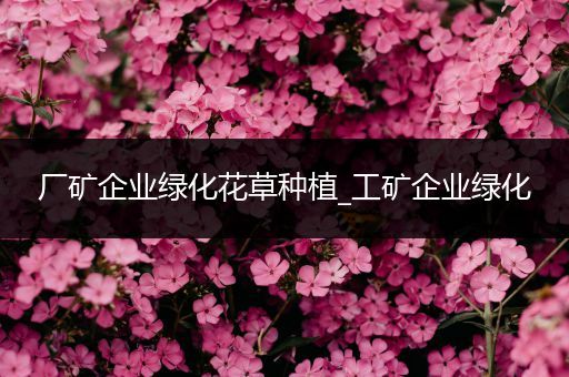 厂矿企业绿化花草种植_工矿企业绿化