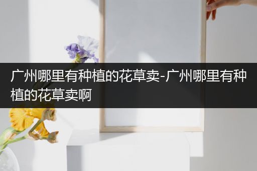 广州哪里有种植的花草卖-广州哪里有种植的花草卖啊