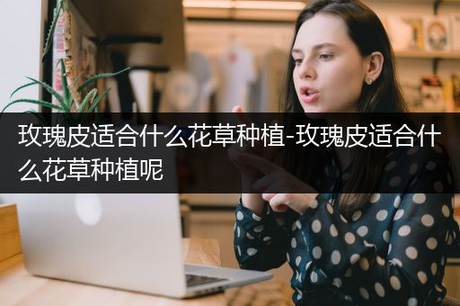 玫瑰皮适合什么花草种植-玫瑰皮适合什么花草种植呢