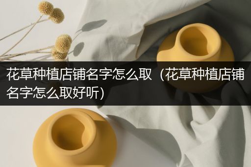 花草种植店铺名字怎么取（花草种植店铺名字怎么取好听）