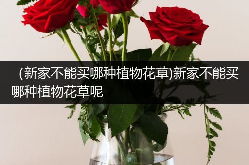 （新家不能买哪种植物花草)新家不能买哪种植物花草呢
