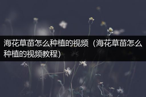 海花草苗怎么种植的视频（海花草苗怎么种植的视频教程）