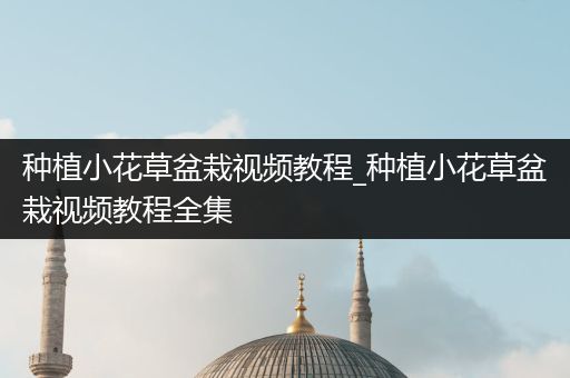 种植小花草盆栽视频教程_种植小花草盆栽视频教程全集