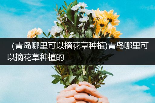 （青岛哪里可以摘花草种植)青岛哪里可以摘花草种植的