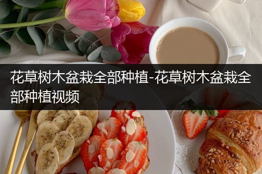 花草树木盆栽全部种植-花草树木盆栽全部种植视频