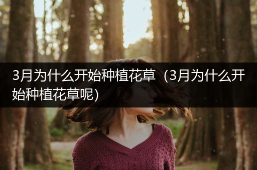 3月为什么开始种植花草（3月为什么开始种植花草呢）