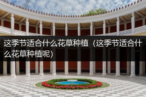 这季节适合什么花草种植（这季节适合什么花草种植呢）