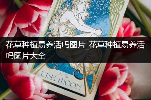 花草种植易养活吗图片_花草种植易养活吗图片大全