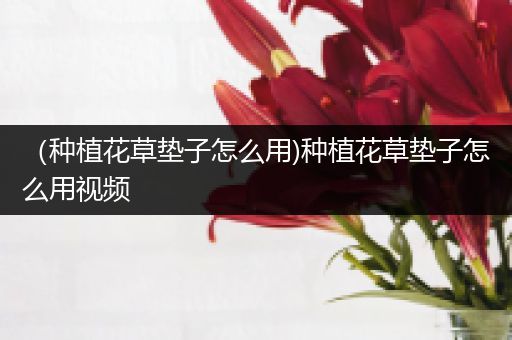 （种植花草垫子怎么用)种植花草垫子怎么用视频