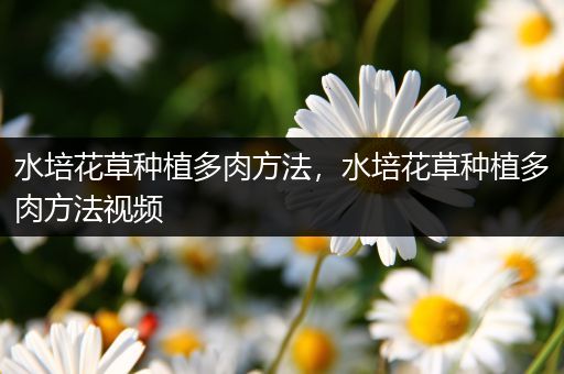 水培花草种植多肉方法，水培花草种植多肉方法视频