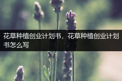 花草种植创业计划书，花草种植创业计划书怎么写