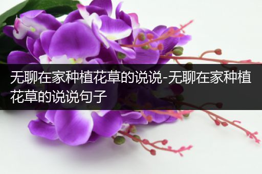 无聊在家种植花草的说说-无聊在家种植花草的说说句子