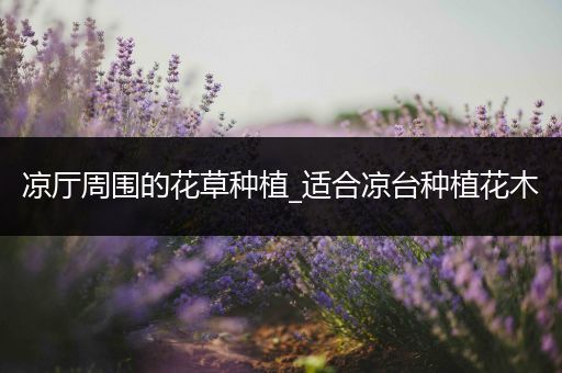 凉厅周围的花草种植_适合凉台种植花木