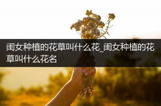 闺女种植的花草叫什么花_闺女种植的花草叫什么花名