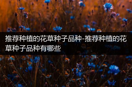 推荐种植的花草种子品种-推荐种植的花草种子品种有哪些