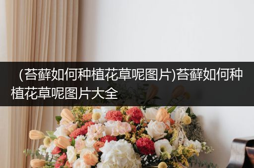 （苔藓如何种植花草呢图片)苔藓如何种植花草呢图片大全