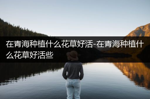 在青海种植什么花草好活-在青海种植什么花草好活些