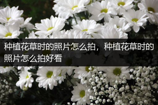 种植花草时的照片怎么拍，种植花草时的照片怎么拍好看