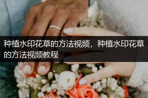 种植水印花草的方法视频，种植水印花草的方法视频教程