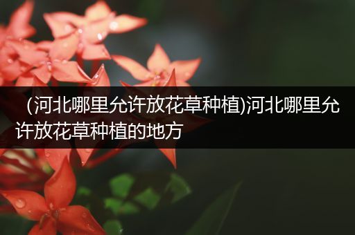 （河北哪里允许放花草种植)河北哪里允许放花草种植的地方