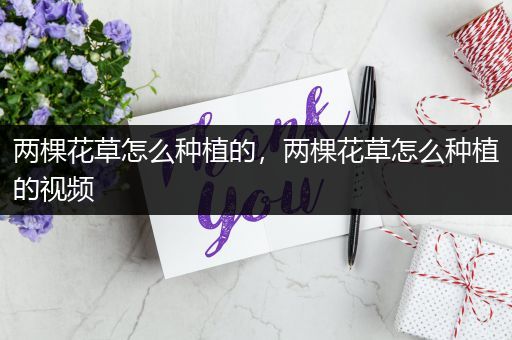 两棵花草怎么种植的，两棵花草怎么种植的视频