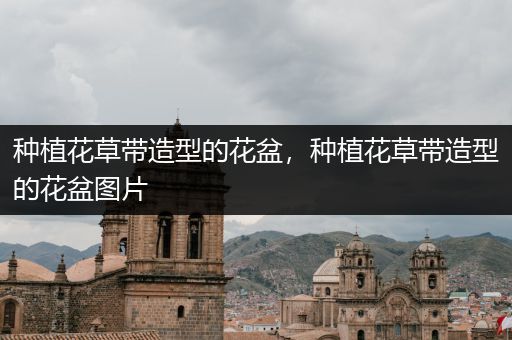 种植花草带造型的花盆，种植花草带造型的花盆图片