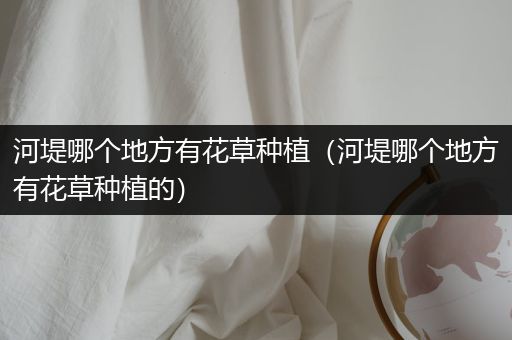 河堤哪个地方有花草种植（河堤哪个地方有花草种植的）