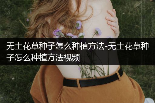 无土花草种子怎么种植方法-无土花草种子怎么种植方法视频