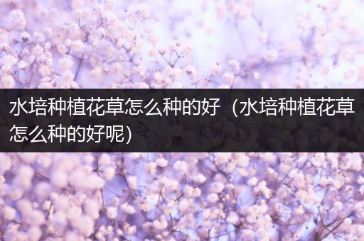 水培种植花草怎么种的好（水培种植花草怎么种的好呢）