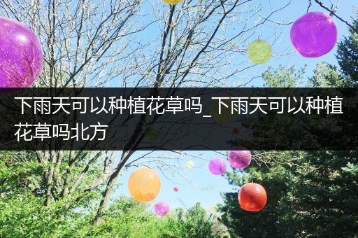 下雨天可以种植花草吗_下雨天可以种植花草吗北方