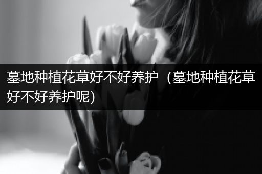 墓地种植花草好不好养护（墓地种植花草好不好养护呢）