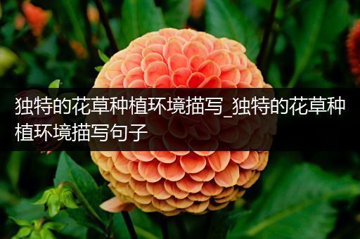 独特的花草种植环境描写_独特的花草种植环境描写句子