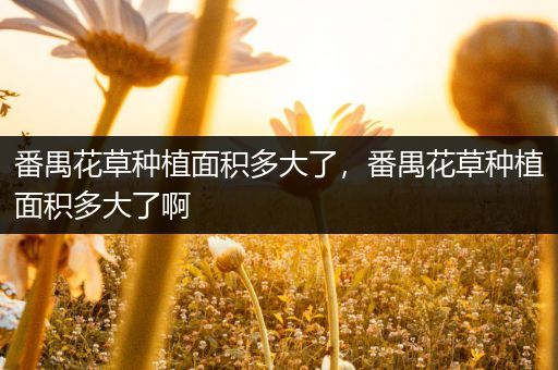 番禺花草种植面积多大了，番禺花草种植面积多大了啊
