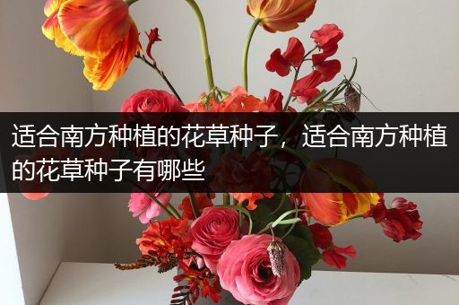 适合南方种植的花草种子，适合南方种植的花草种子有哪些