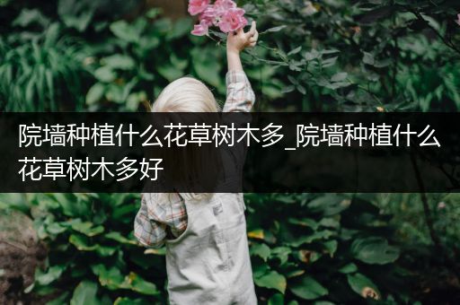 院墙种植什么花草树木多_院墙种植什么花草树木多好