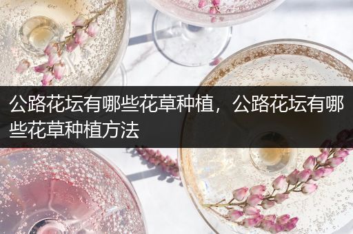 公路花坛有哪些花草种植，公路花坛有哪些花草种植方法