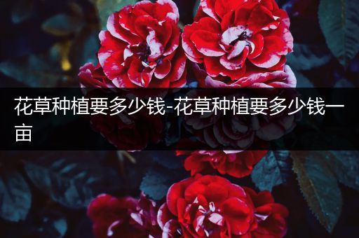 花草种植要多少钱-花草种植要多少钱一亩