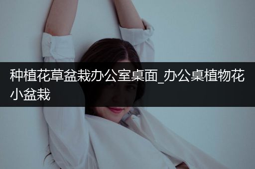 种植花草盆栽办公室桌面_办公桌植物花小盆栽