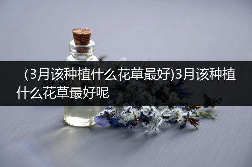（3月该种植什么花草最好)3月该种植什么花草最好呢