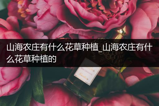 山海农庄有什么花草种植_山海农庄有什么花草种植的