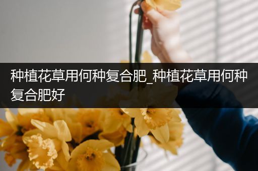 种植花草用何种复合肥_种植花草用何种复合肥好