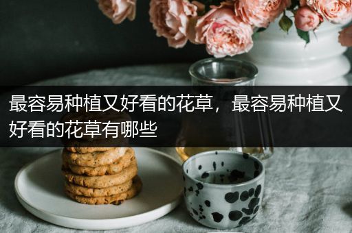 最容易种植又好看的花草，最容易种植又好看的花草有哪些