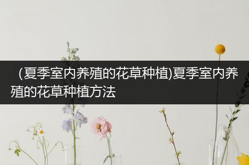 （夏季室内养殖的花草种植)夏季室内养殖的花草种植方法